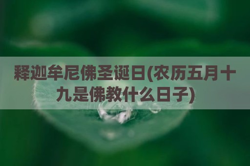 释迦牟尼佛圣诞日(农历五月十九是佛教什么日子)