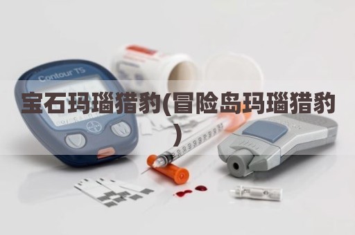 宝石玛瑙猎豹(冒险岛玛瑙猎豹)
