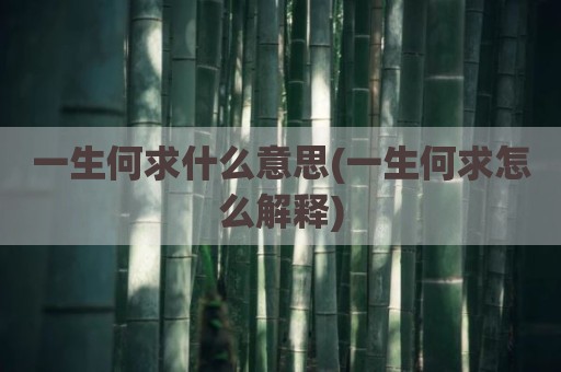 一生何求什么意思(一生何求怎么解释)