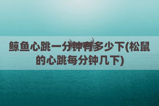 鲸鱼心跳一分钟有多少下(松鼠的心跳每分钟几下)