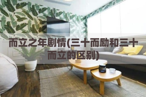而立之年剧情(三十而励和三十而立的区别)