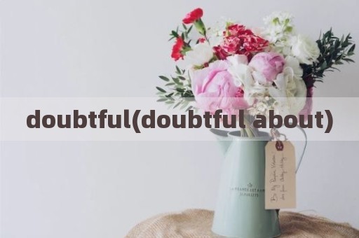 doubtful(doubtful about)
