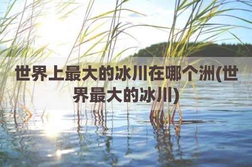 世界上最大的冰川在哪个洲(世界最大的冰川)