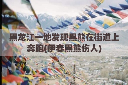 黑龙江一地发现黑熊在街道上奔跑(伊春黑熊伤人)
