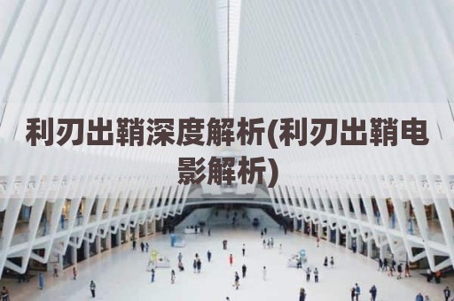 利刃出鞘深度解析(利刃出鞘电影解析)