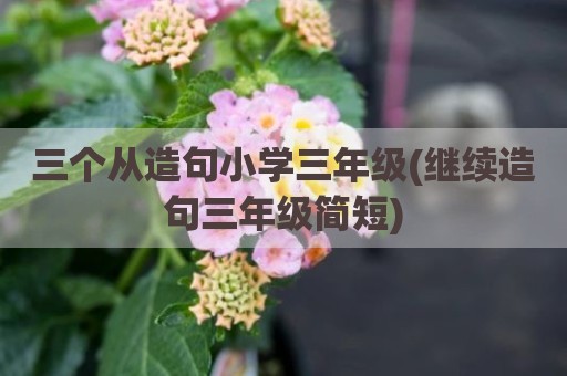 三个从造句小学三年级(继续造句三年级简短)
