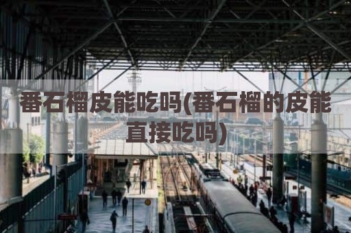 番石榴皮能吃吗(番石榴的皮能直接吃吗)