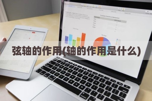 弦轴的作用(轴的作用是什么)