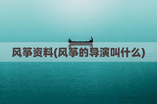 风筝资料(风筝的导演叫什么)