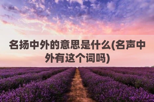 名扬中外的意思是什么(名声中外有这个词吗)