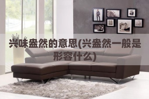 兴味盎然的意思(兴盎然一般是形容什么)