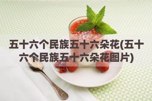 五十六个民族五十六朵花(五十六个民族五十六朵花图片)