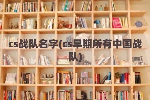 cs战队名字(cs早期所有中国战队)