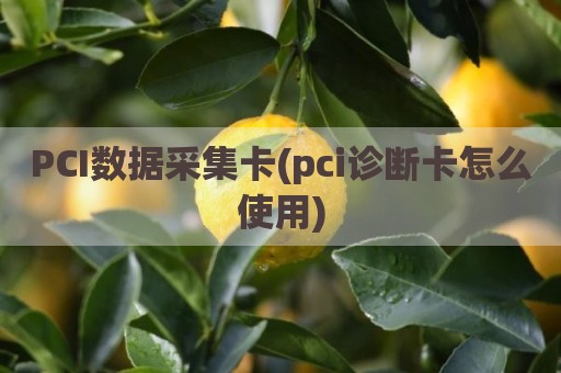PCI数据采集卡(pci诊断卡怎么使用)