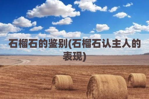 石榴石的鉴别(石榴石认主人的表现)
