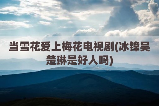 当雪花爱上梅花电视剧(冰锋吴楚琳是好人吗)