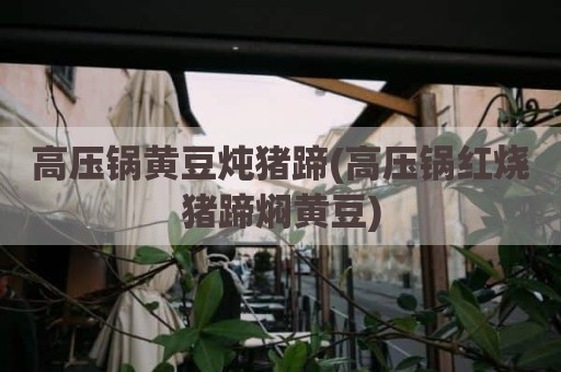 高压锅黄豆炖猪蹄(高压锅红烧猪蹄焖黄豆)