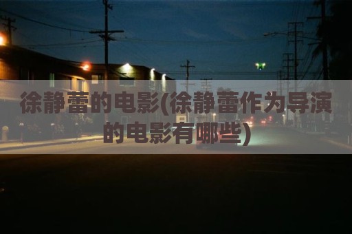 徐静蕾的电影(徐静蕾作为导演的电影有哪些)