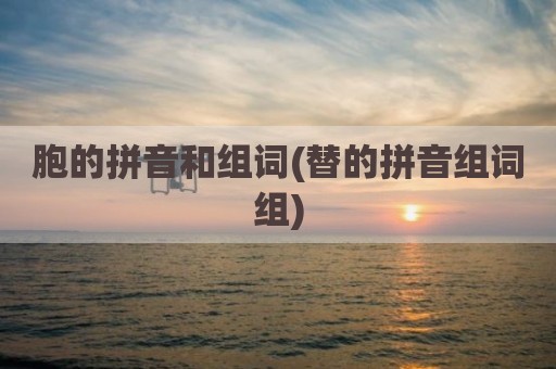 胞的拼音和组词(替的拼音组词组)