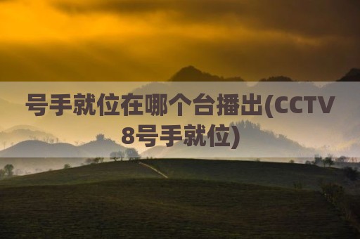 号手就位在哪个台播出(CCTV8号手就位)