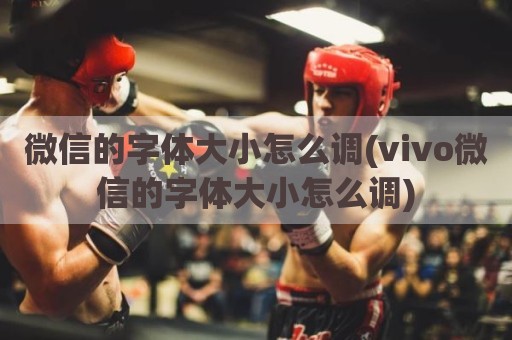 微信的字体大小怎么调(vivo微信的字体大小怎么调)