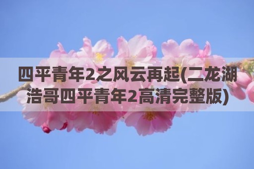 四平青年2之风云再起(二龙湖浩哥四平青年2高清完整版)