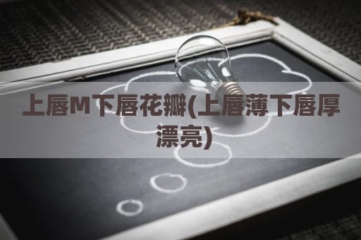 上唇M下唇花瓣(上唇薄下唇厚 漂亮)