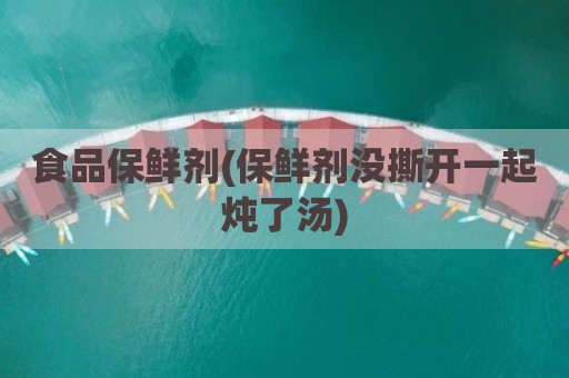 食品保鲜剂(保鲜剂没撕开一起炖了汤)