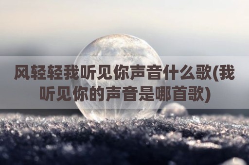 风轻轻我听见你声音什么歌(我听见你的声音是哪首歌)