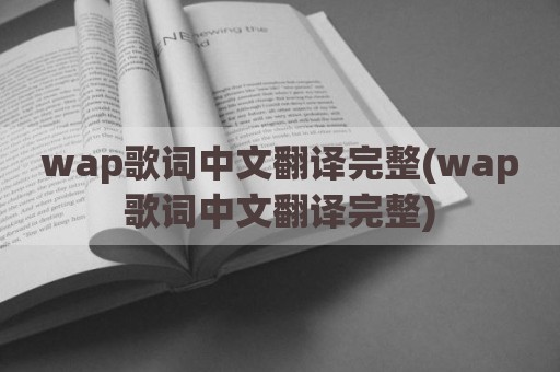 wap歌词中文翻译完整(wap歌词中文翻译完整)