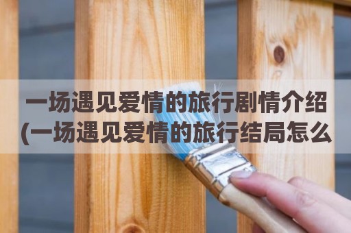 一场遇见爱情的旅行剧情介绍(一场遇见爱情的旅行结局怎么样)