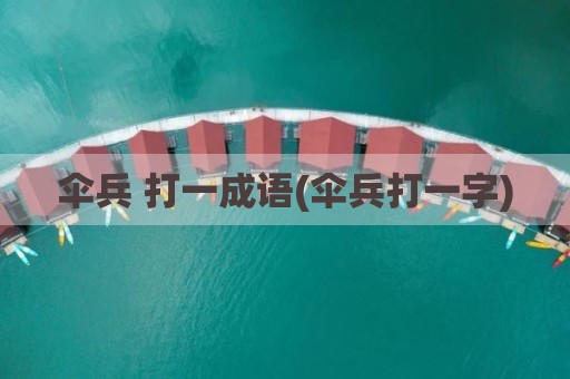 伞兵 打一成语(伞兵打一字)