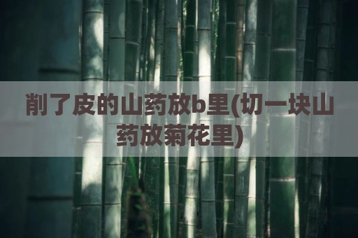 削了皮的山药放b里(切一块山药放菊花里)