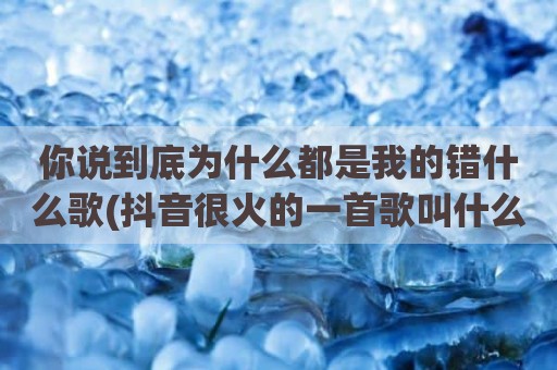 你说到底为什么都是我的错什么歌(抖音很火的一首歌叫什么孤独)