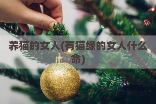 养猫的女人(有猫缘的女人什么命)