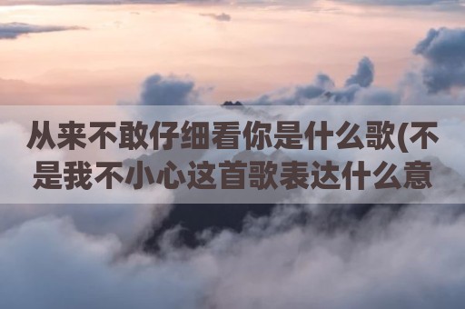 从来不敢仔细看你是什么歌(不是我不小心这首歌表达什么意思)