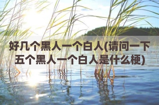 好几个黑人一个白人(请问一下五个黑人一个白人是什么梗)