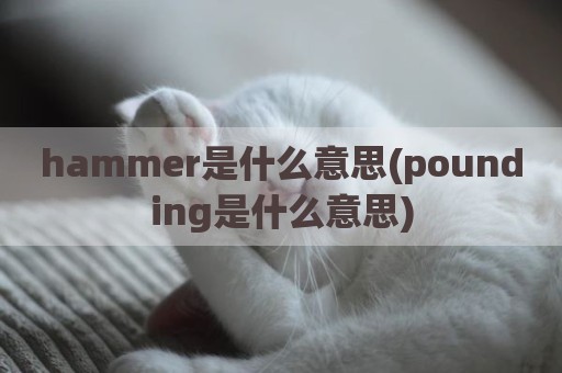 hammer是什么意思(pounding是什么意思)