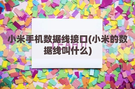 小米手机数据线接口(小米的数据线叫什么)