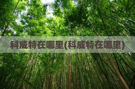 科威特在哪里(科威特在哪里)