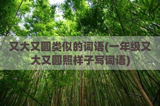 又大又圆类似的词语(一年级又大又圆照样子写词语)