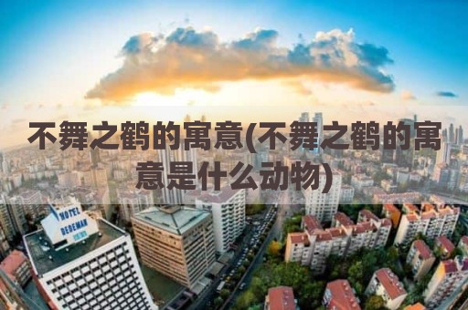 不舞之鹤的寓意(不舞之鹤的寓意是什么动物)