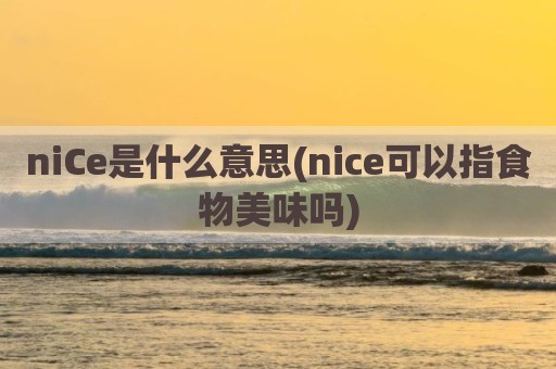 niCe是什么意思(nice可以指食物美味吗)