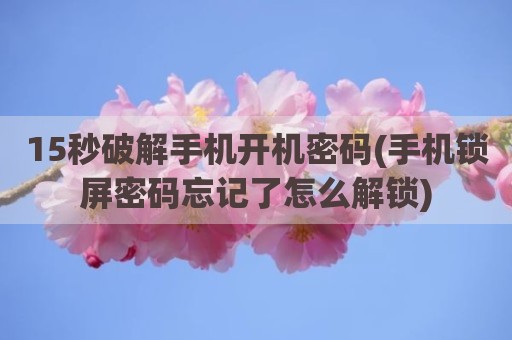 15秒破解手机开机密码(手机锁屏密码忘记了怎么解锁)