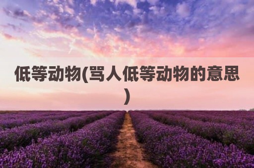 低等动物(骂人低等动物的意思)