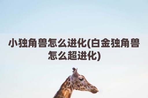 小独角兽怎么进化(白金独角兽怎么超进化)