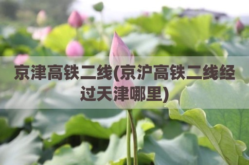 京津高铁二线(京沪高铁二线经过天津哪里)