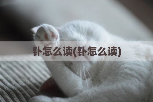 钋怎么读(钋怎么读)