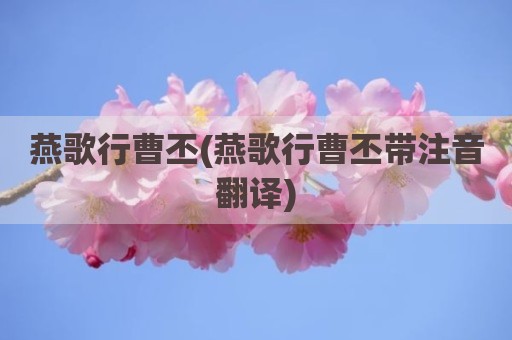 燕歌行曹丕(燕歌行曹丕带注音翻译)