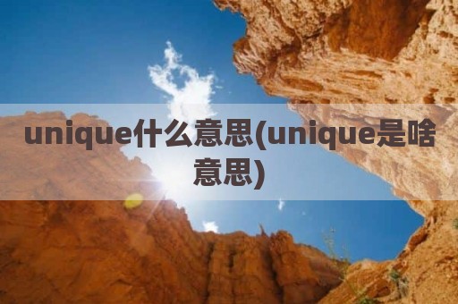 unique什么意思(unique是啥意思)